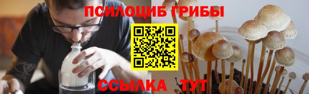 Галлюциногенные грибы Psilocybe  Псилоцибиновые грибы ЛСД  Апатиты  Вход с VPN 